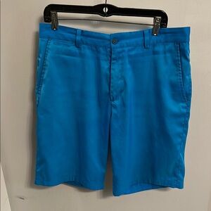 Men's Blue Shorts